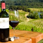 daveste-vineyards-wine-and-design