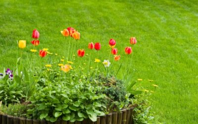 Outdoor Living Trends Buyers Love