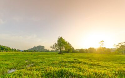 What Goes Into Assessing Land for Home Construction?