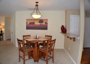 8739 Endora, Indian Land, South Carolina 29707, ,Single Family Home,For Sale,Endora,2,1011