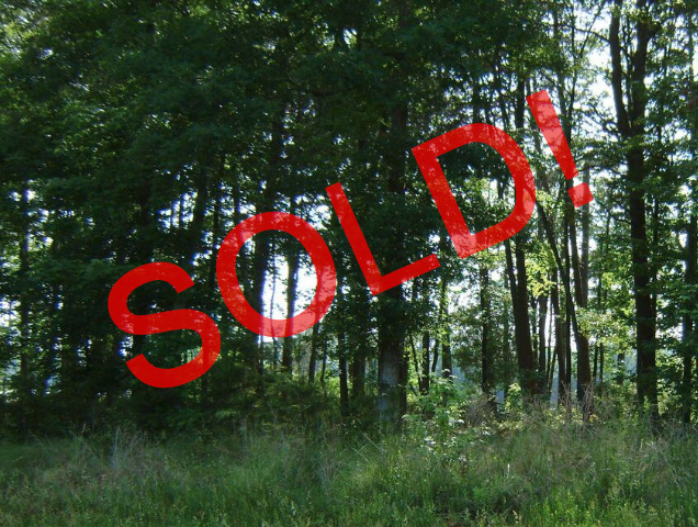 North Carolina, ,Land,For Sale,1003